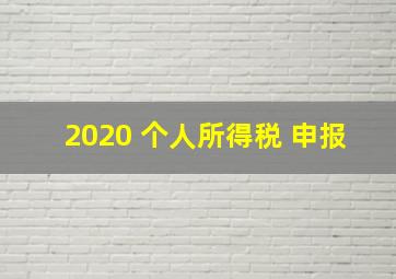 2020 个人所得税 申报